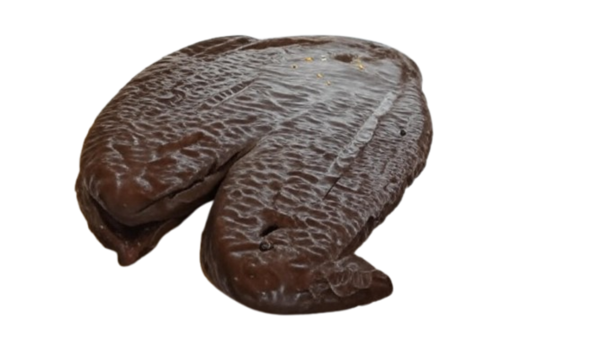 palmera gigante chocolate